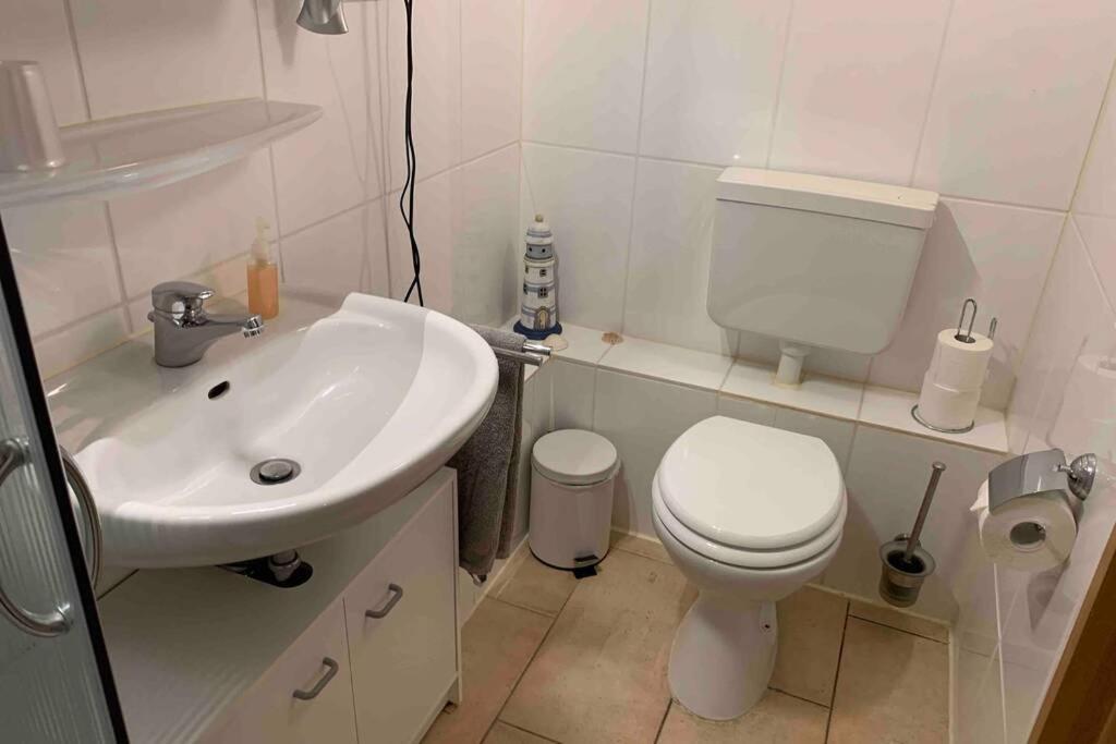 Ferienwohnung Schmidt Rosengarten  Екстериор снимка